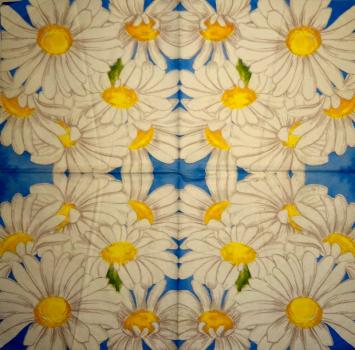 348 Daisies - 3-ply - CS